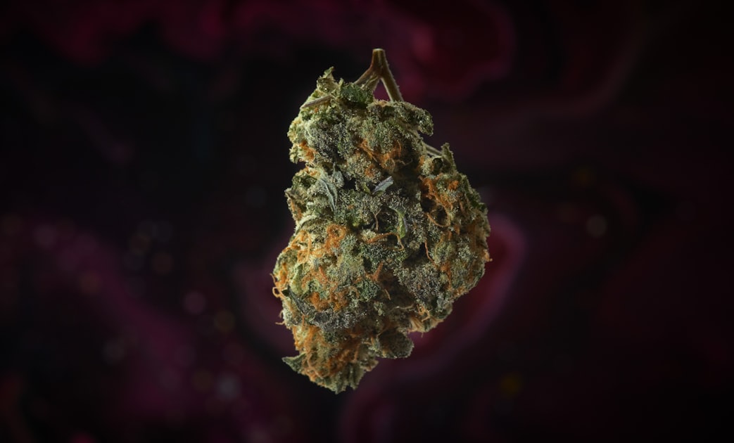 The Benefits of CBD Oil